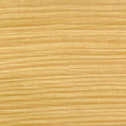 Valtti Plus Complete  greitai džiūstanti itin patvari šilko matiškumo lauko medienos dažyvė